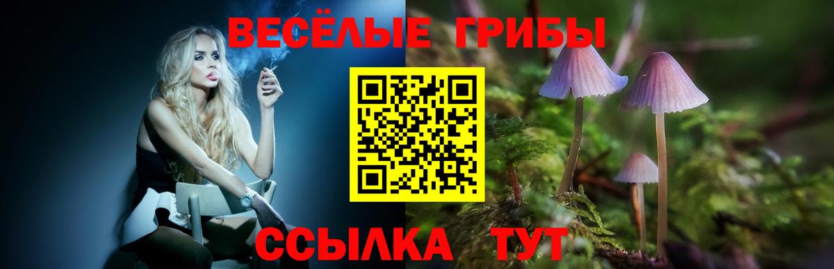 Псилоцибиновые грибы MAGIC MUSHROOMS Гудермес